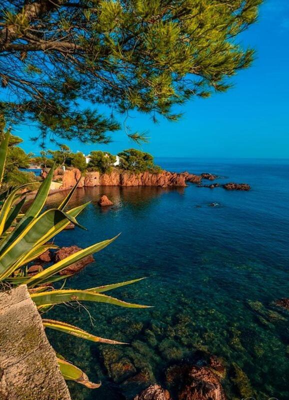 Dans Un Cadre D'Exception, Vue Mer Panoramique A Agay Cote D'Azur, Village Vacances Cap Esterel, T2 Avec Jardin, Golf, Climatisation, Wifi, 5 Piscines Saint-Raphaël Exteriér fotografie